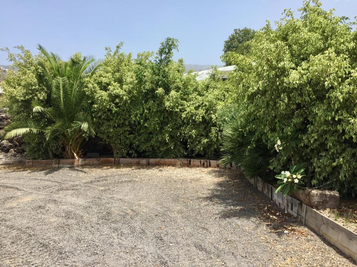 Guía de Isora Finca Los Llanitos מראה חיצוני תמונה